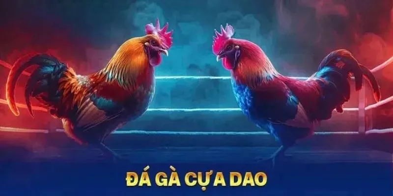 Cá cược đá gà cựa dao BJ888 kịch tính và hấp dẫn bậc nhất Bộ môn cá cược thu hút đông đảo người chơi