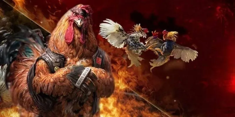 Phân tích và lựa chọn chiến kê kỹ lưỡng