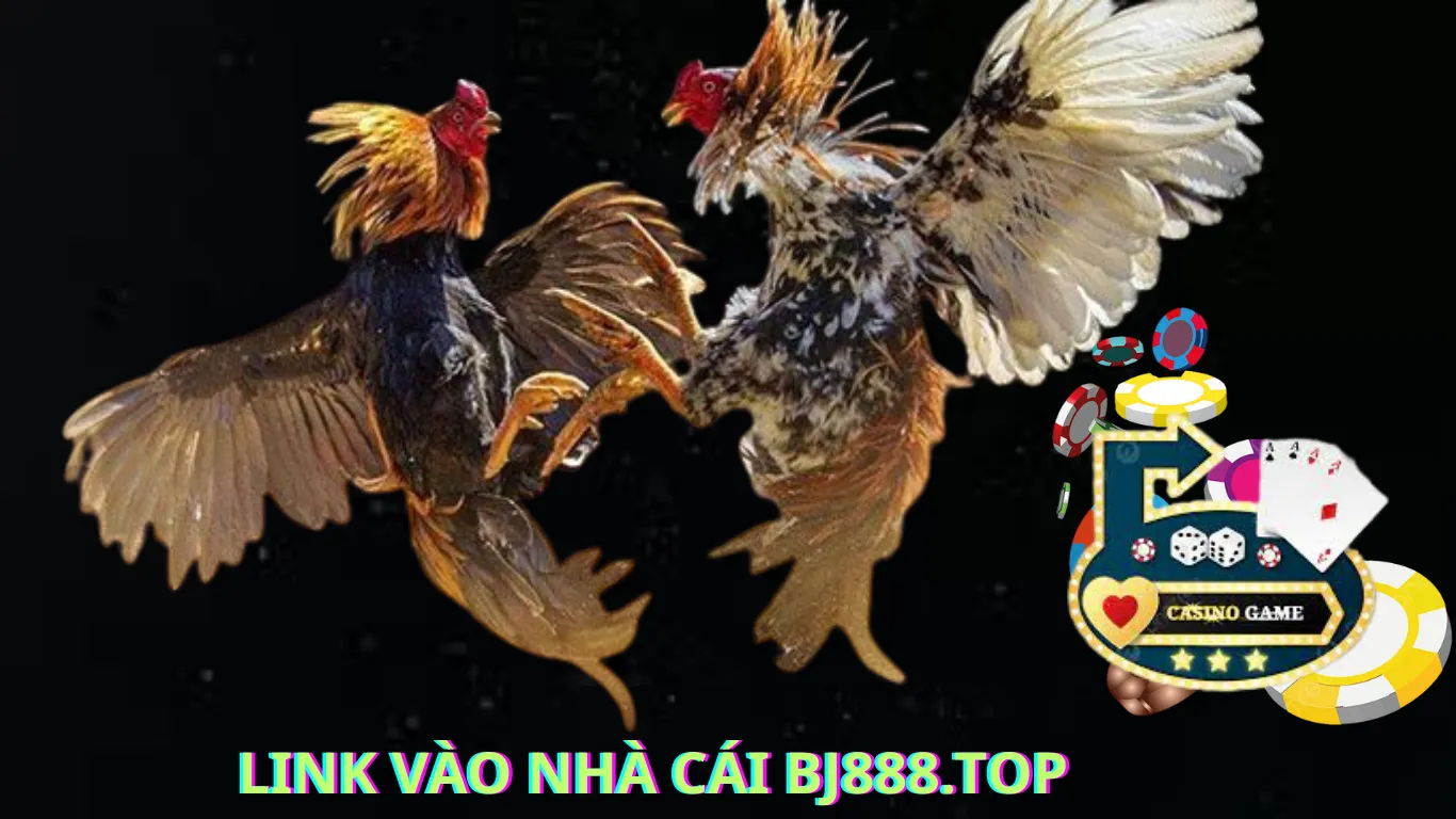 Các loại dá gà cpc1- cpc6&nbsp; cược tại BJ888