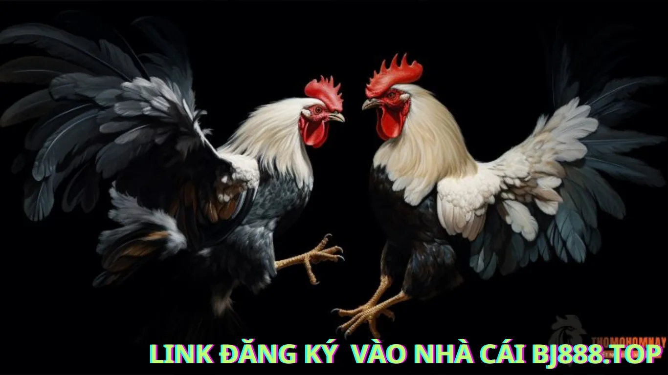 Hướng Dẫn Đăng Ký Tại Nhà Cái BJ888