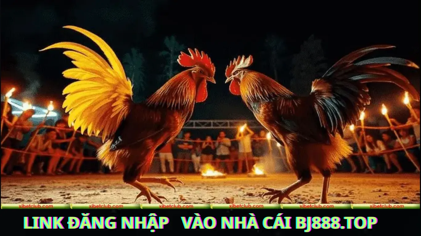 Cách Tìm Link Đăng Nhập Nhà Cái BJ888 Mới Nhất Không Bị Chặn