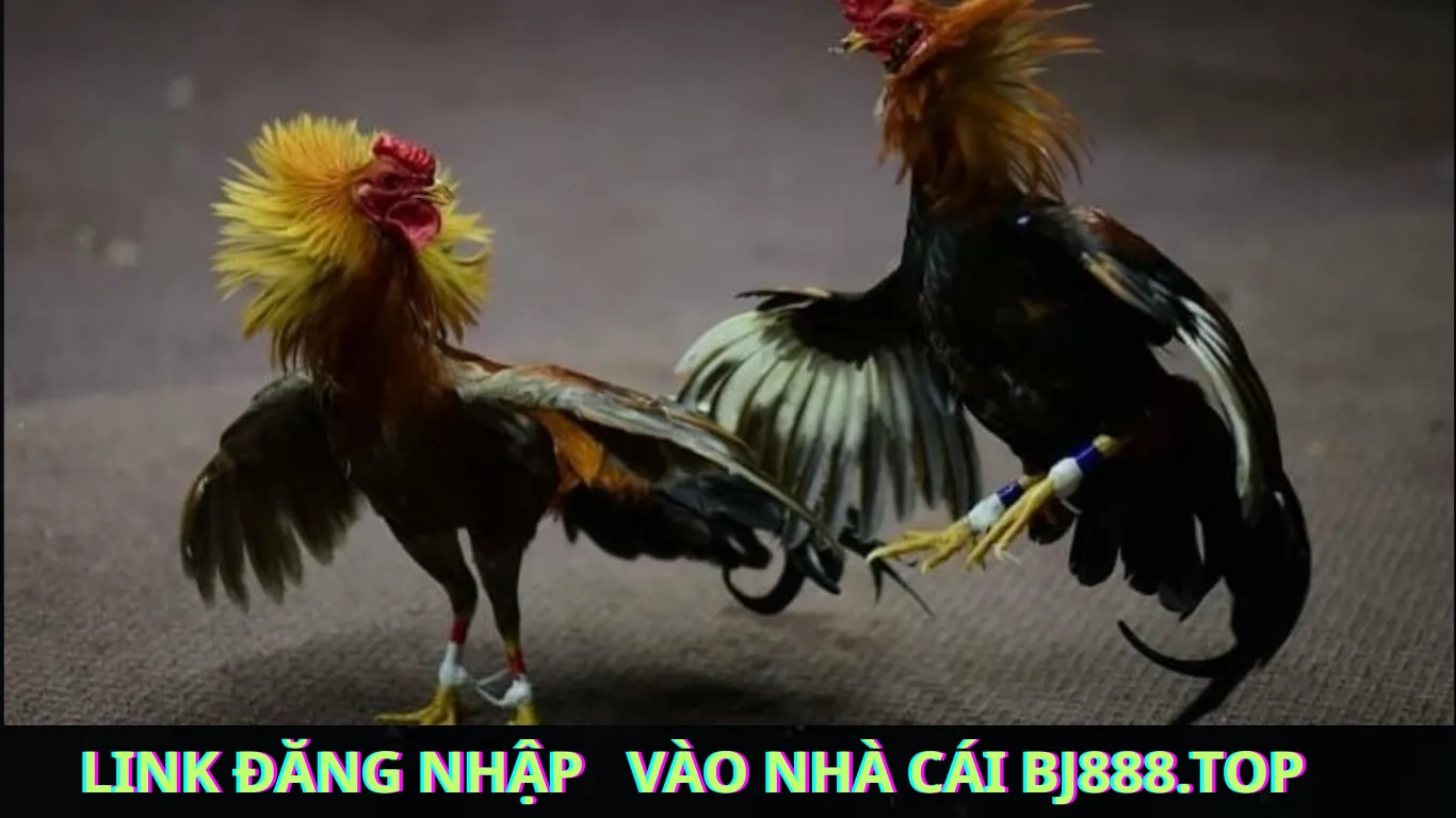 Cách Truy Cập Link Đăng Nhập Nhà Cái BJ888.top