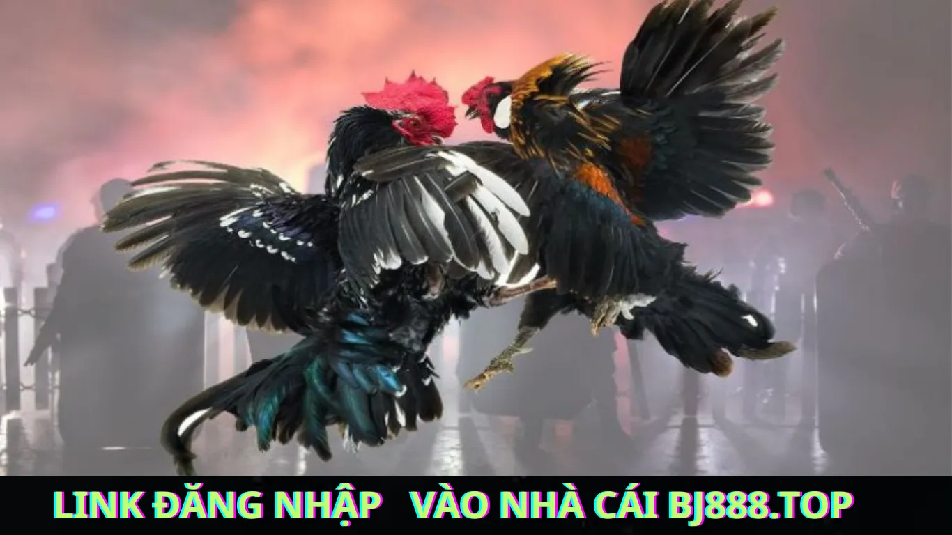 Cách Tìm Link Đăng Nhập Nhà Cái BJ888 Mới Nhất Không Bị Chặn