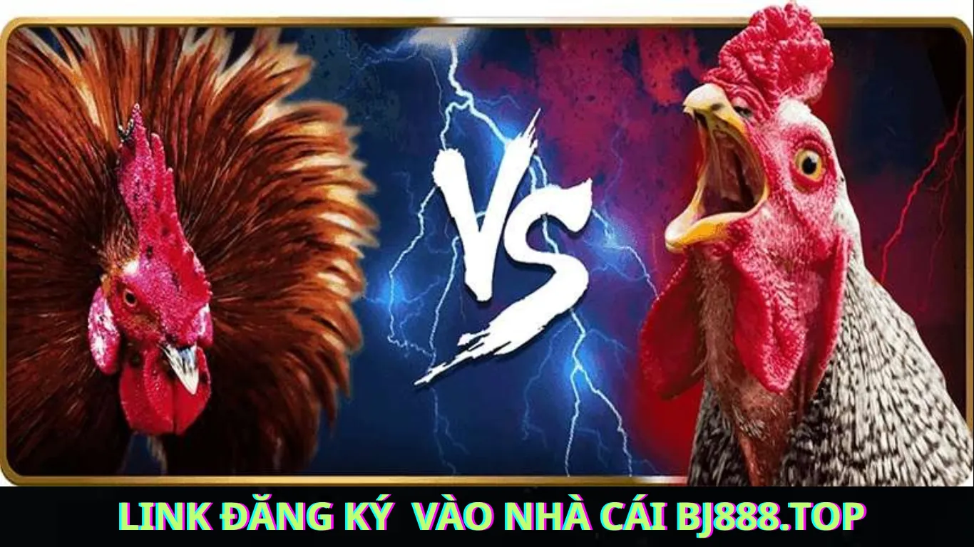 BJ888 Nhà Cái Đá Gà Trực Tiếp Số 1 Châu Á